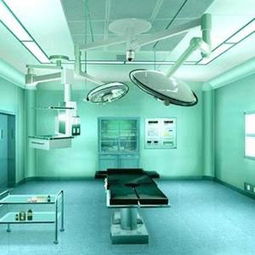 重慶食品廠凈化車間與電子廠無塵車間 型號規(guī)格及價(jià)格解析