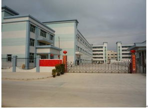 精準計量，品質先行——廣州市上博電子衡器與儀器儀表銷售服務