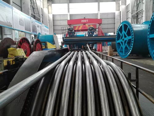 公司順利完成銅仁奧體中心密封繩生產，同步推進塑料管產銷業務